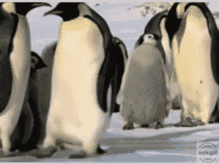 Neymar in penalty box.