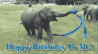 Today is 2nd manufacturing anniversary of AskGif.