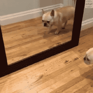 When media persons watch their own show.